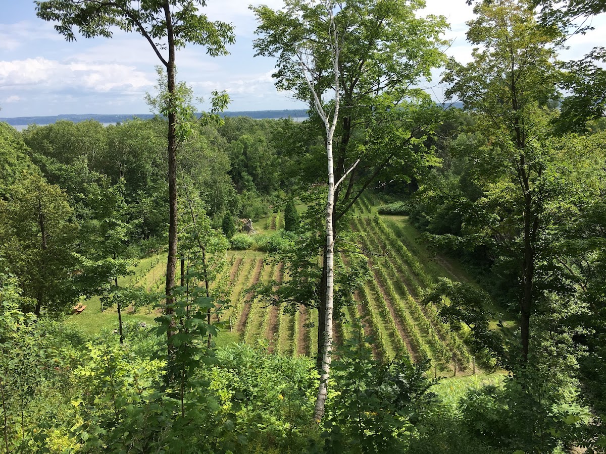 Domaine des 3 Moulins