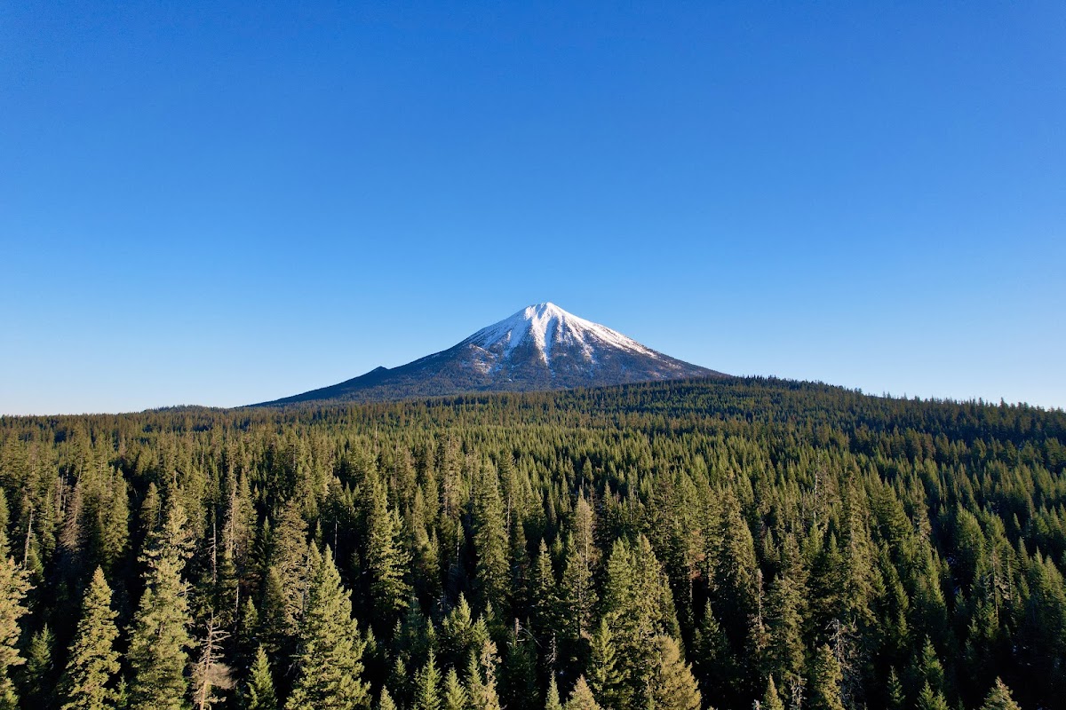 Mt McLoughlin