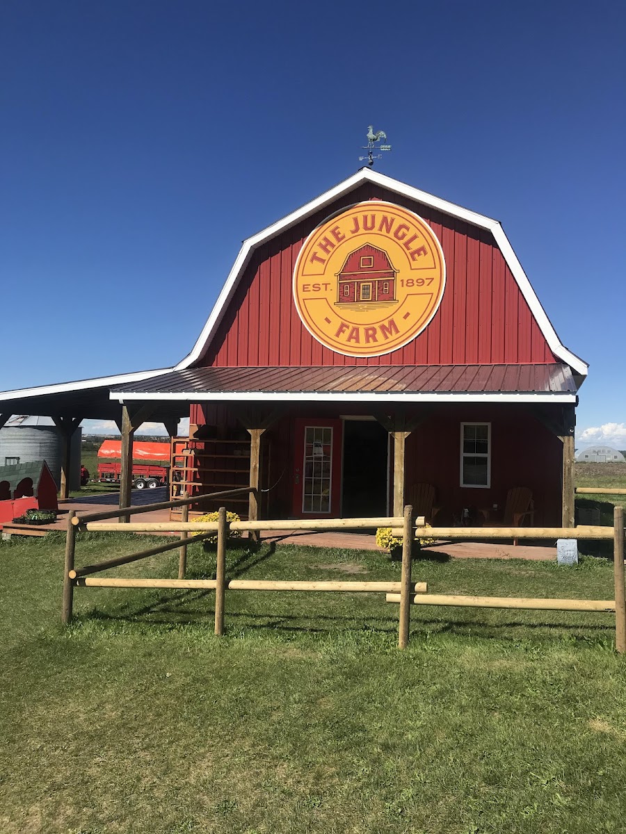 The Jungle Farm