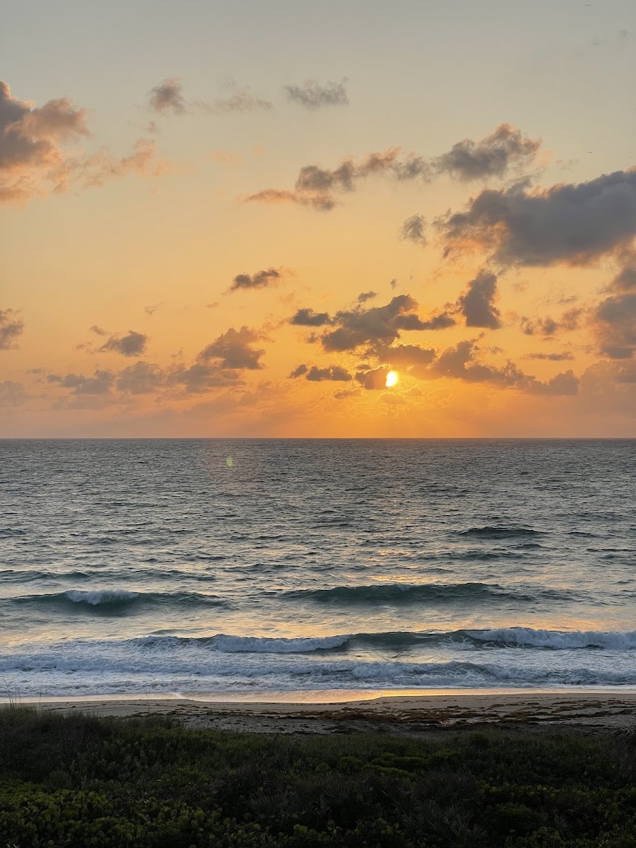Hutchinson Island Resort By Marriott photo 2