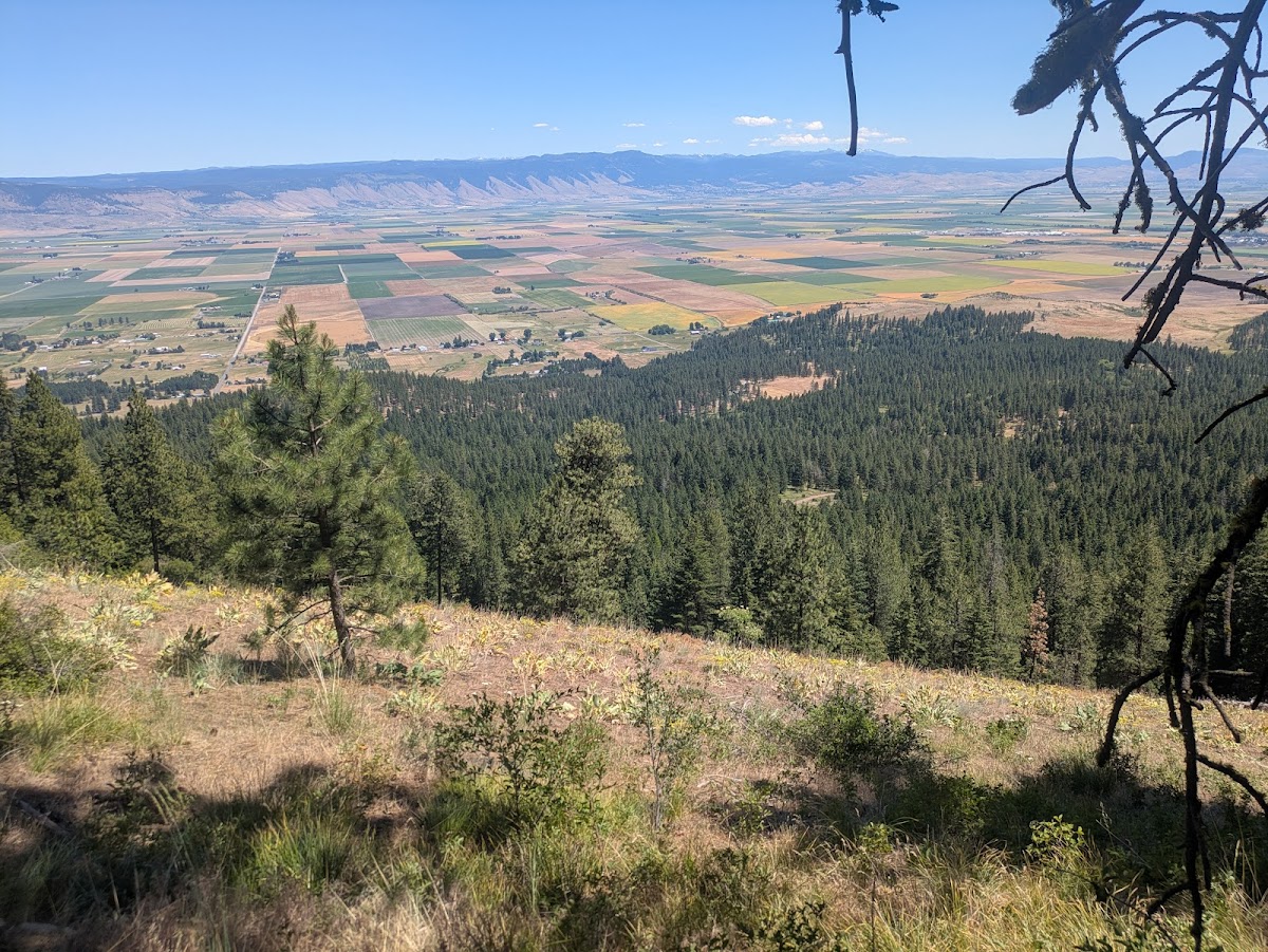 Mount Emily Recreation Area