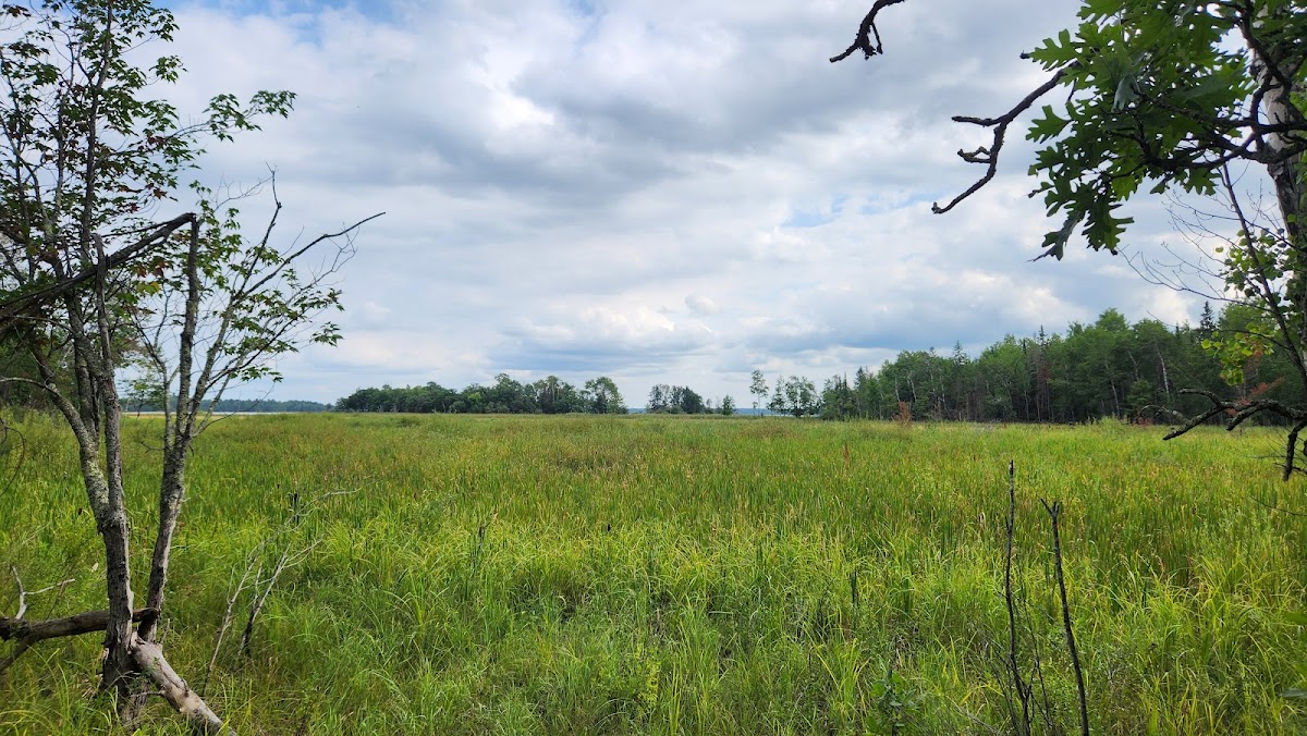 Oberholtzer Trail