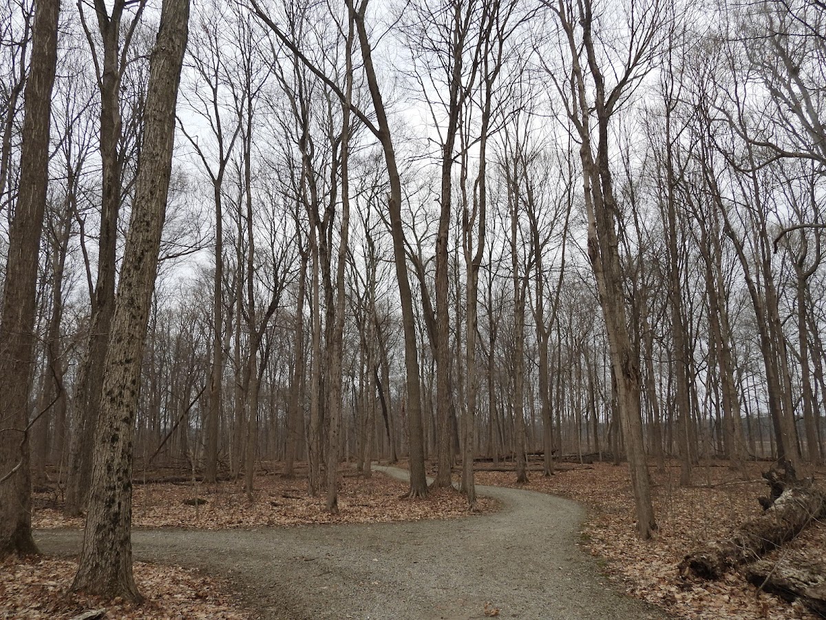 Lost Creek Reserve & Knoop Agricultural Heritage Center