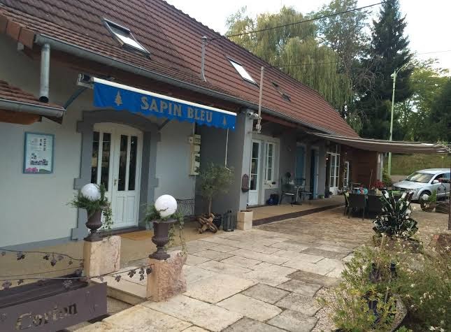 Sapin Bleu