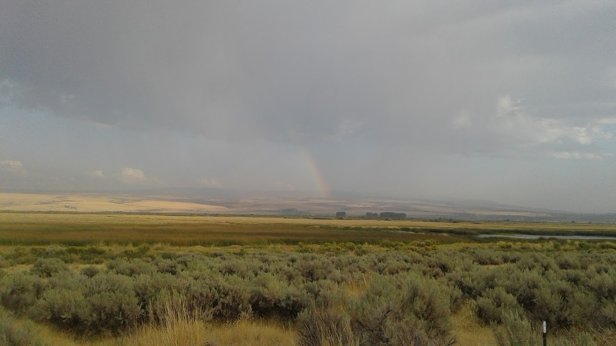 Harney County Migratory Bird Festival
