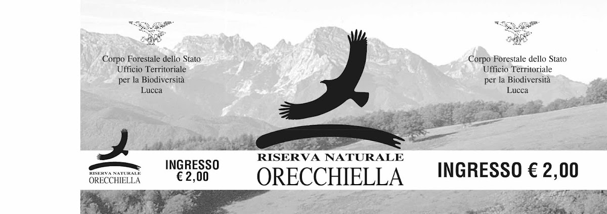Parco dell'Orecchiella