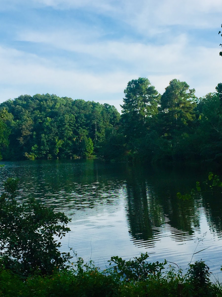 Coots Lake