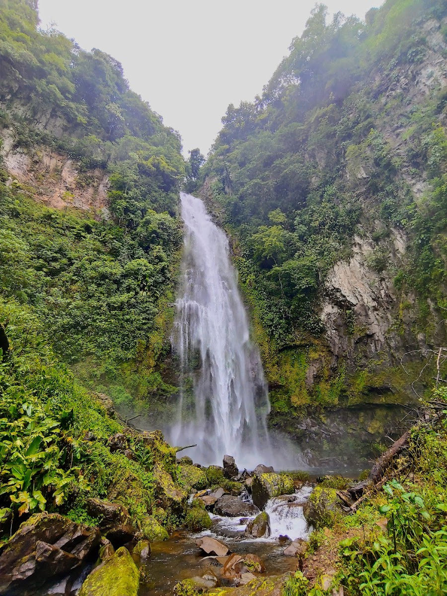 Cascada de Mazolapa