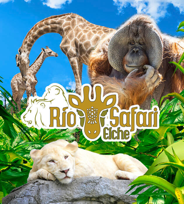 Riu Safari Elx
